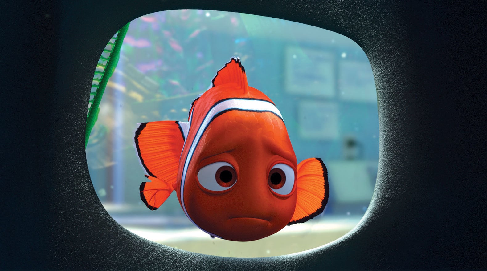Movie science: Finding Nemo and the gender-swapping abilities of clownfish