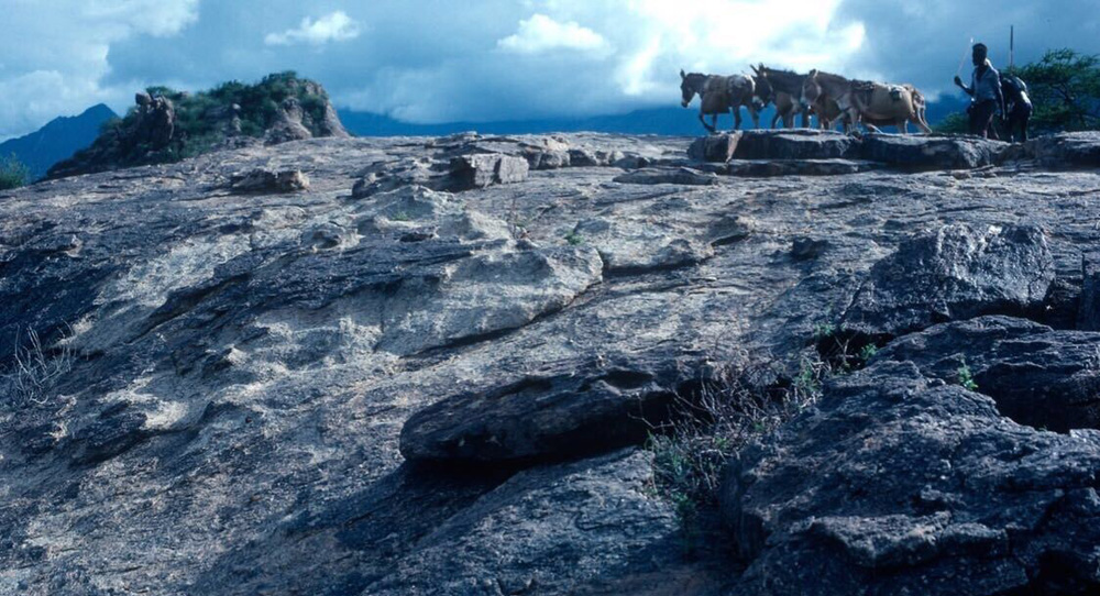 Vicarious travel, unvarnished – trekking Lake Turkana