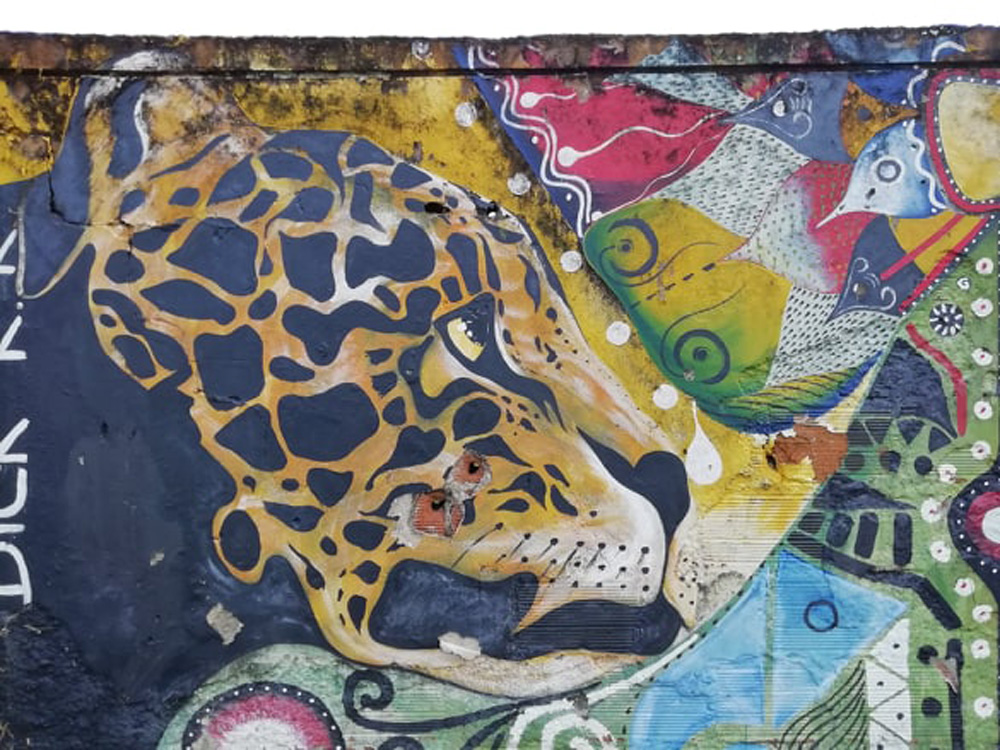 Lock-down life: Wrestling with home-school in the Andes