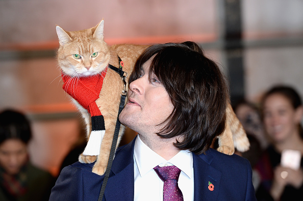 ‘Light has gone out of my life’, says author after Street Cat Named Bob dies