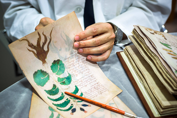 The Voynich Manuscript: the mystery of the book that nobody can read