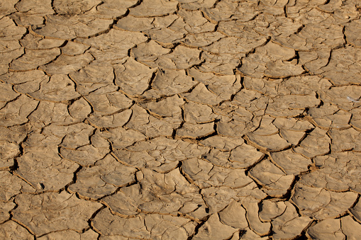 Drought in Africa