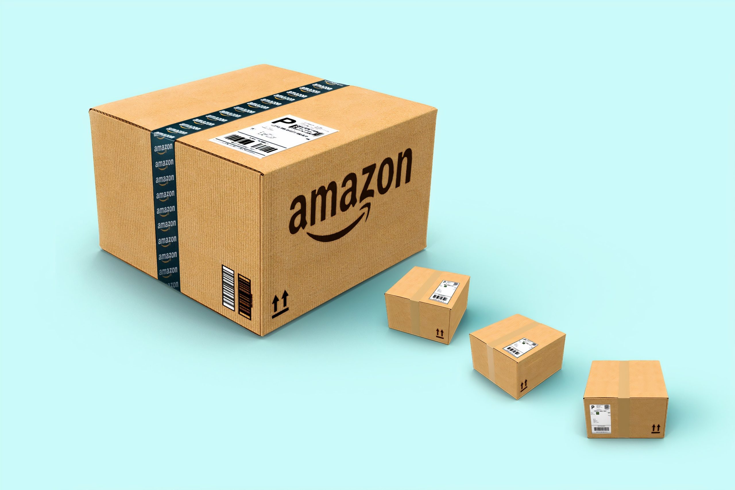 Why you, too, should boycott Amazon