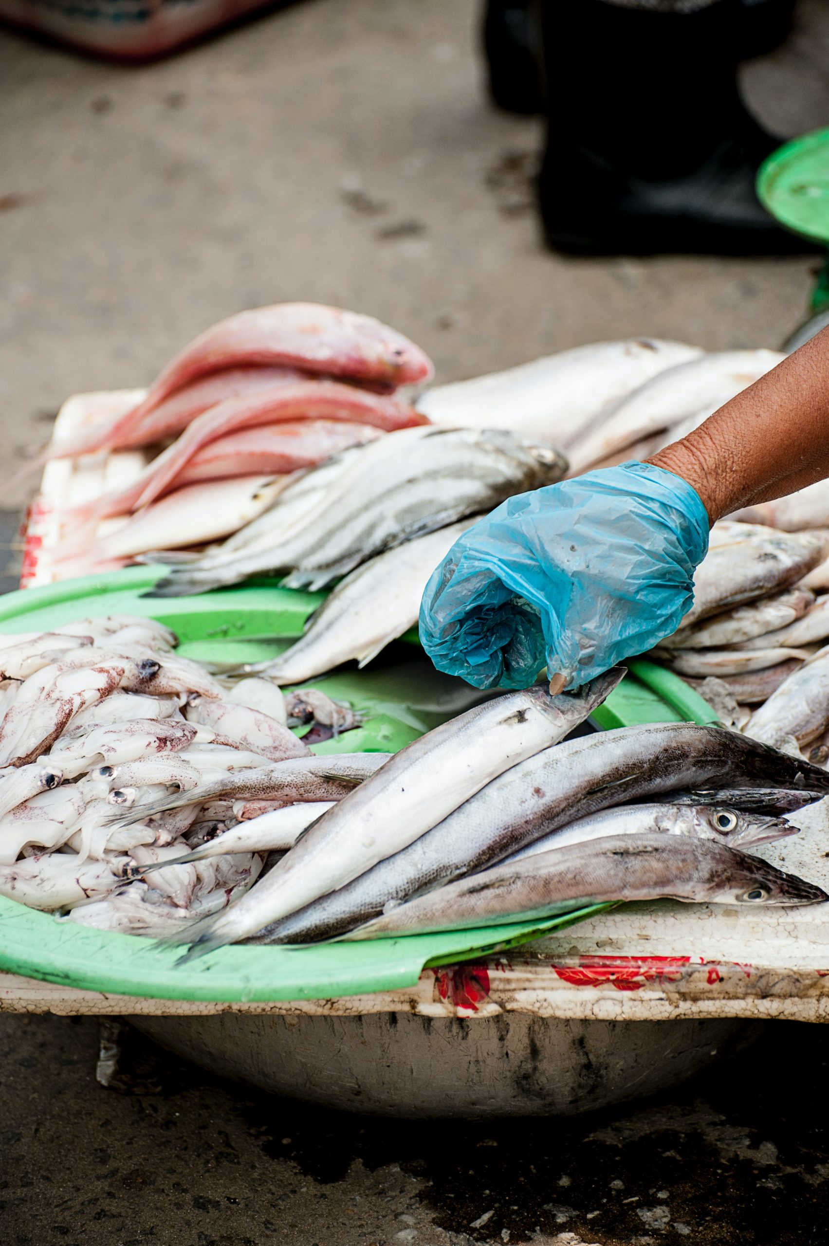 Microplastics in seafood confirmed. Should we be worried?