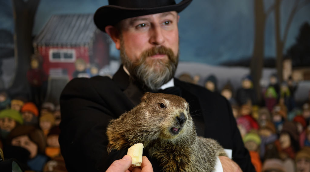 Punxsutawney Phil death rumours debunked: He's alive and well