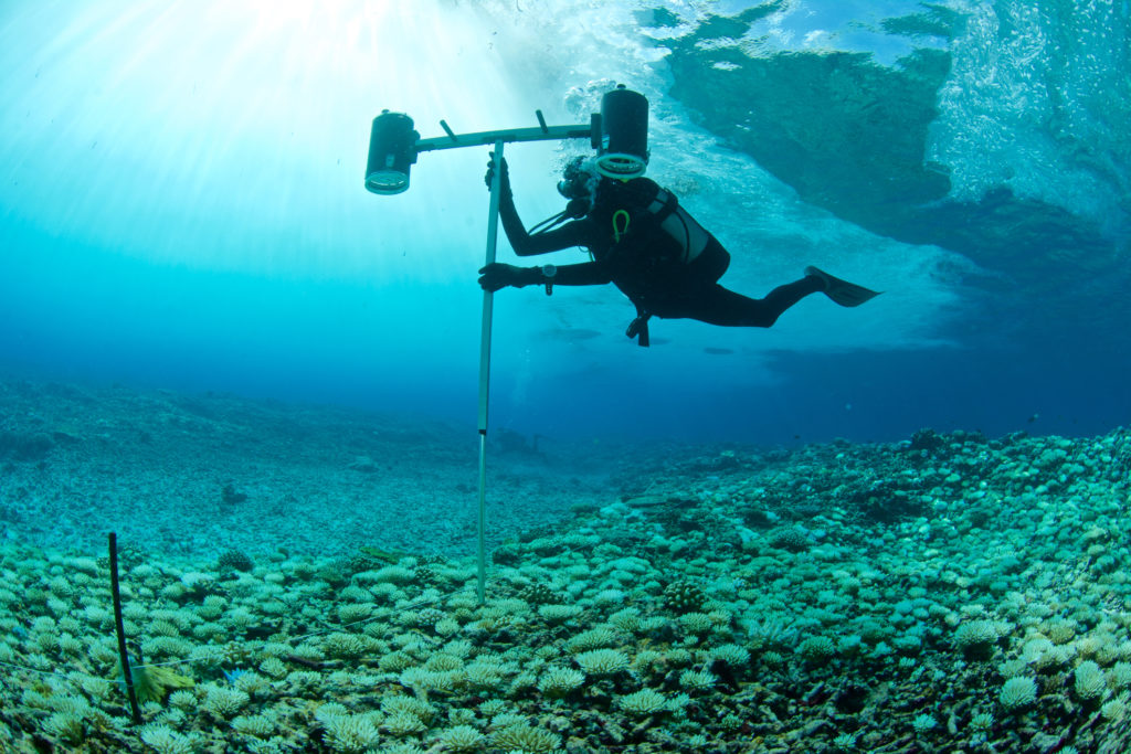 Why did nasa stop exploring the ocean tiktok video raises questions