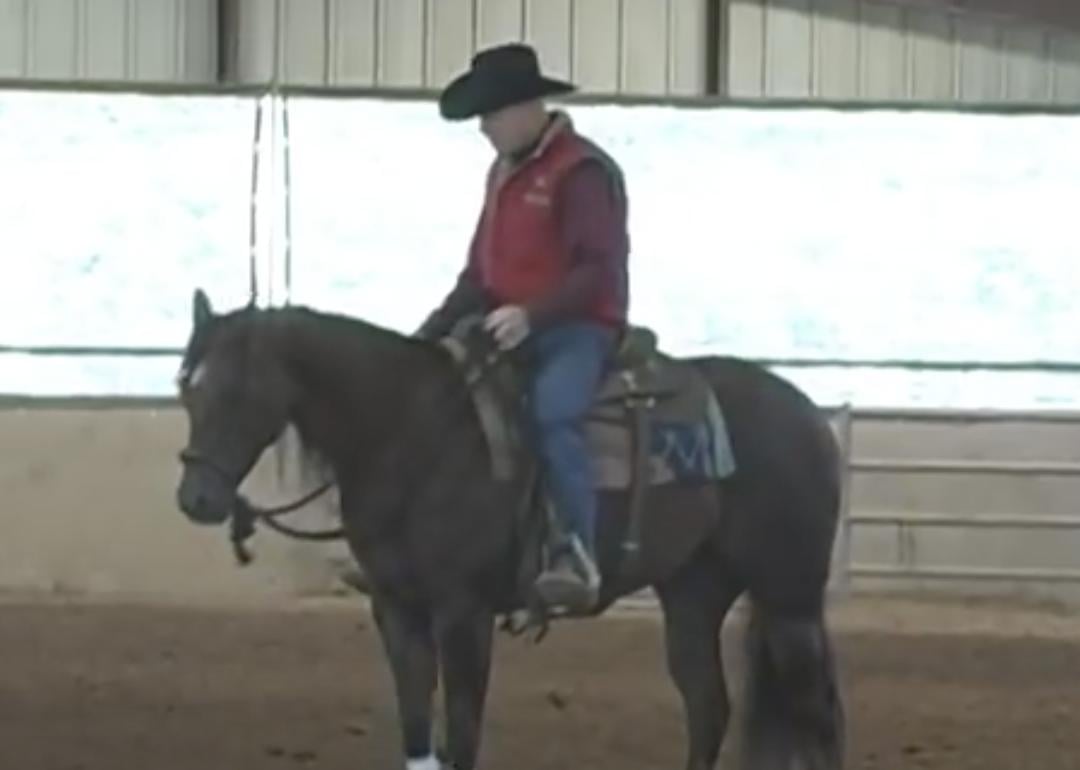 Who is Robbie Schroeder? Walker Texas Ranger horse trainer dies aged 62