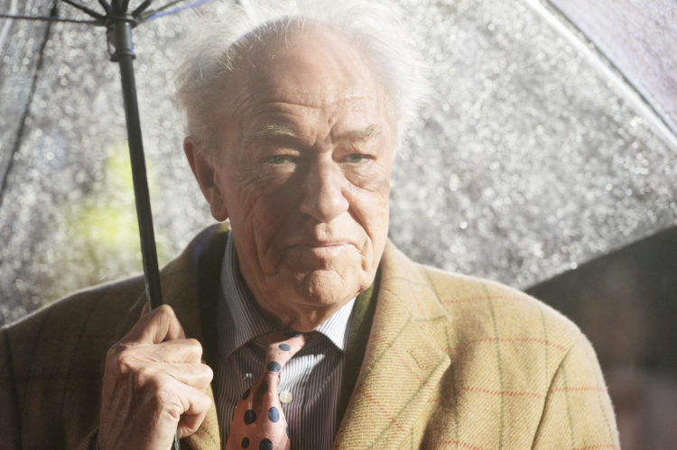 Will Michael Gambon be in the Harry Potter reunion? Give us Dumbledore!