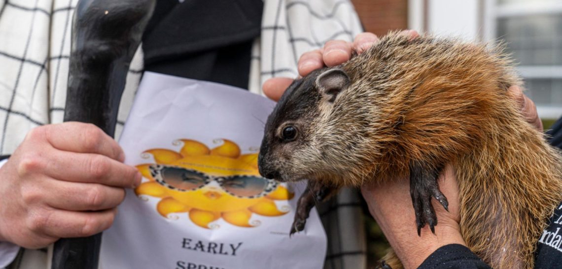 RIP Milltown Mel: Groundhog's age and past predictions explored
