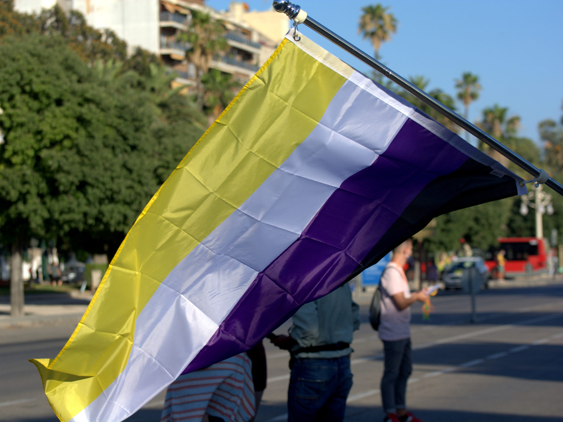 Gender flag Non-binary