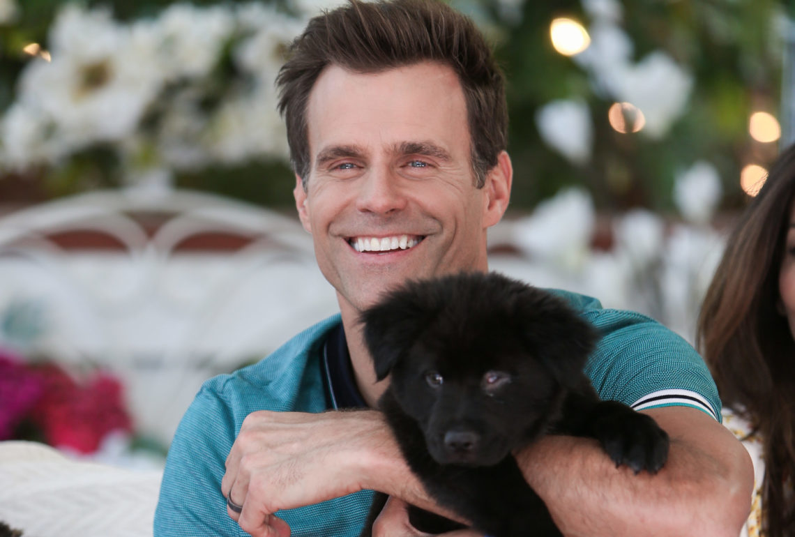 GH's Cameron Mathison 'grateful' as he opens up two years after cancer surgery