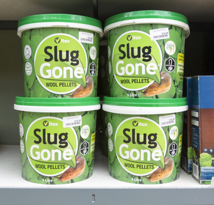 Does snail bait poison dogs? TikTok video sparks questions about safety