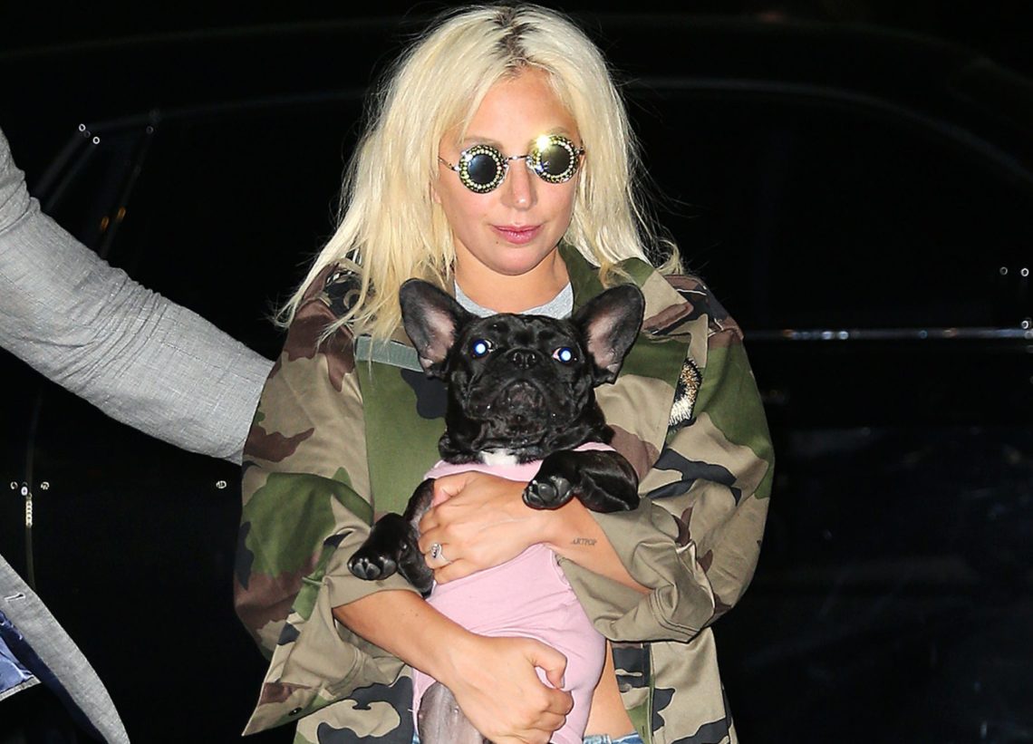 Suspect in shooting of Lady Gaga's dog walker accidentally freed from jail