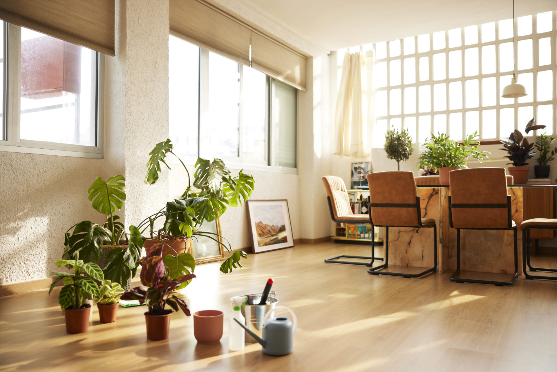 Potted Plants In Domestic Room