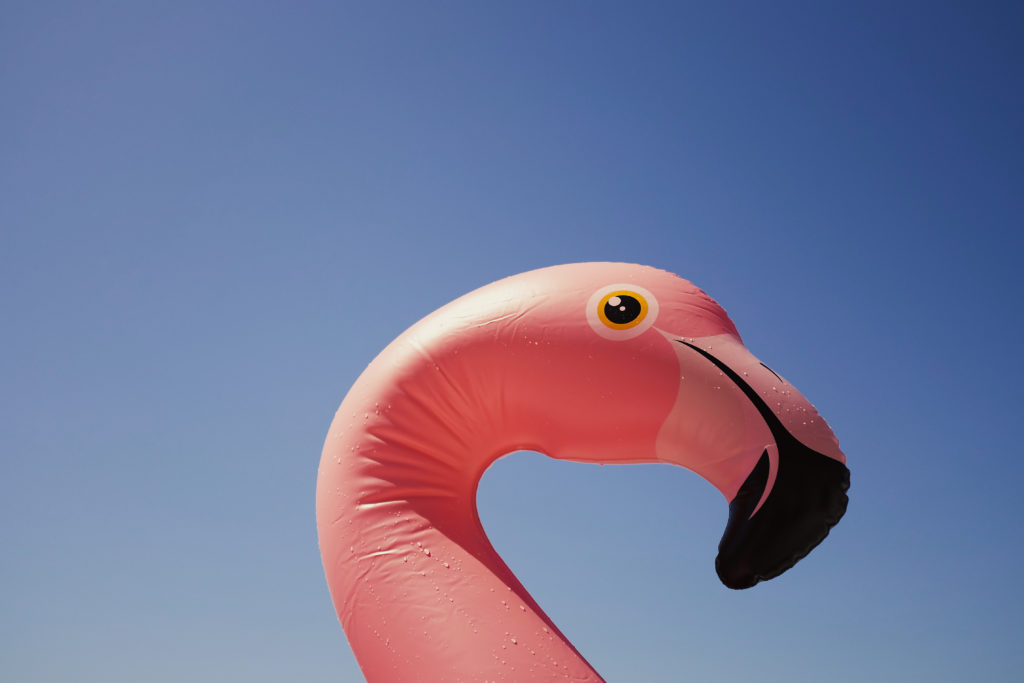 New meaning behind Flamingo tattoos leaves Mom Tok swooning