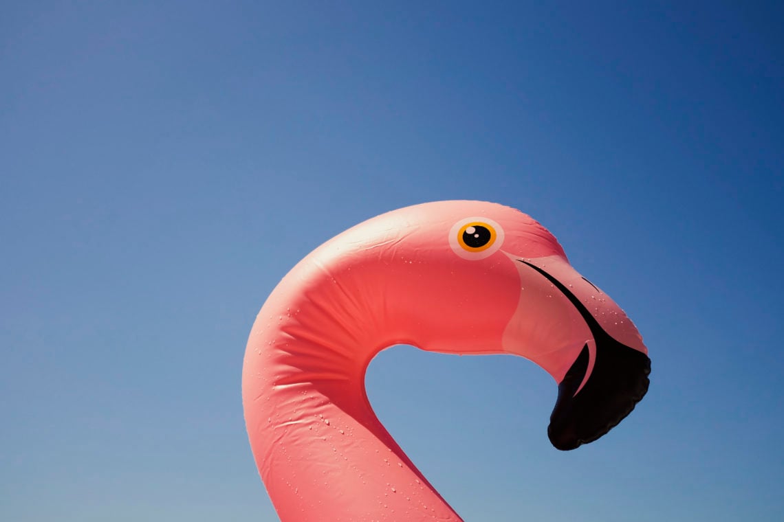 New meaning behind Flamingo tattoos leaves Mom Tok swooning