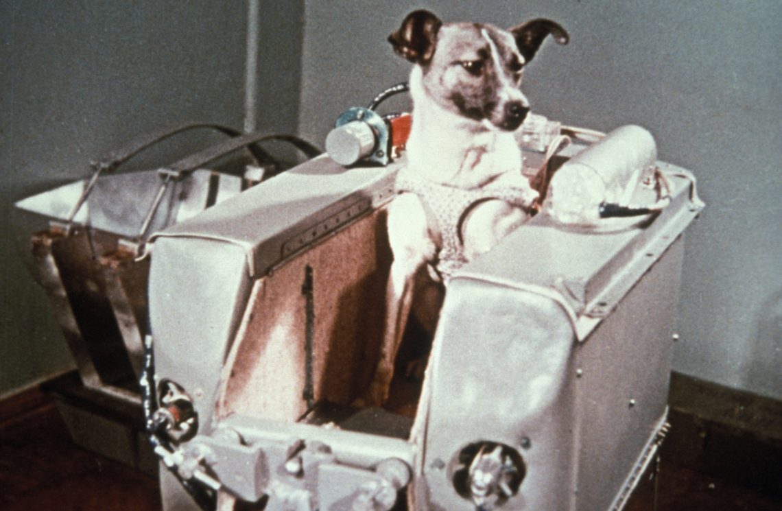 What happened to Laika the dog, is she still out in space somewhere?