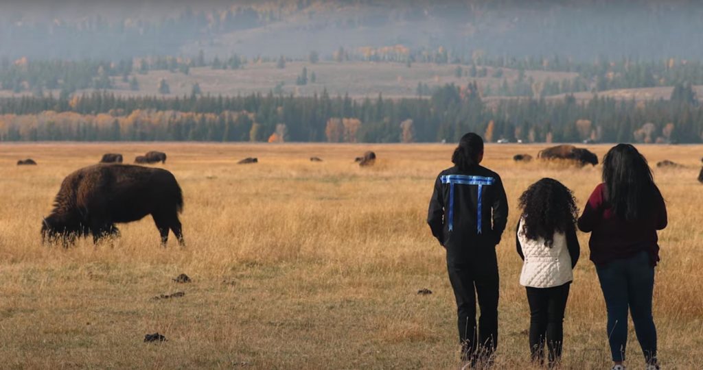 Lynnette Grey Bull plus two others standing with their backs to the camera, facing an open field filled with bison