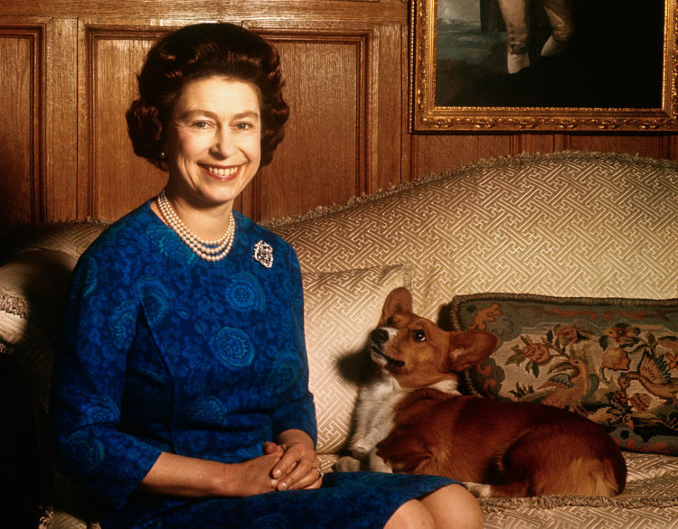 Will Queen Elizabeth's corgis be buried alive with her? Twitter rumor gets medieval