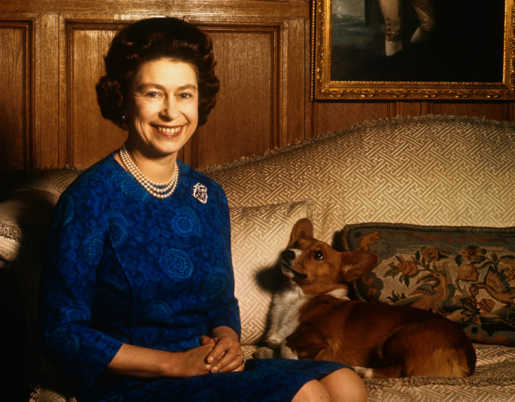 What do Queen Elizabeth II's dogs eat? Former royal chef spills the beans