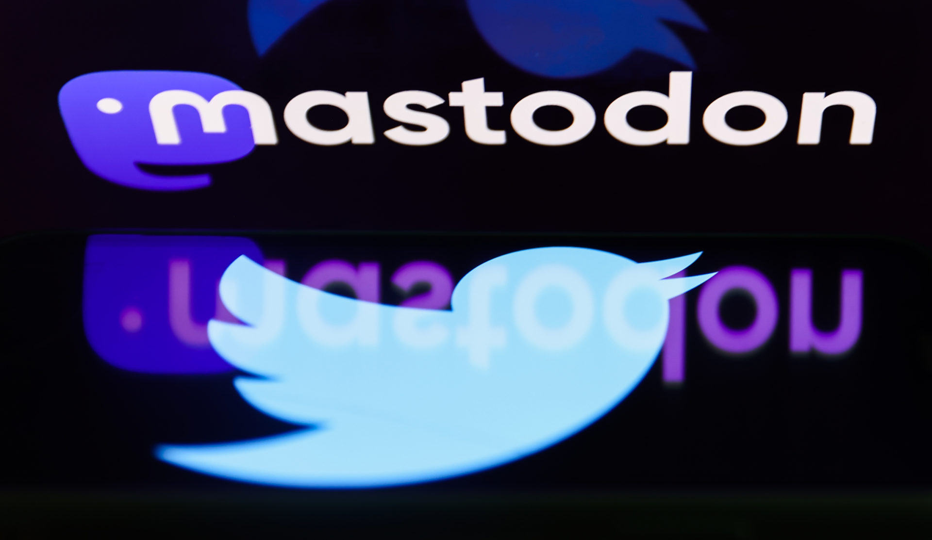Twitter And Mastodon Photo Illustrations