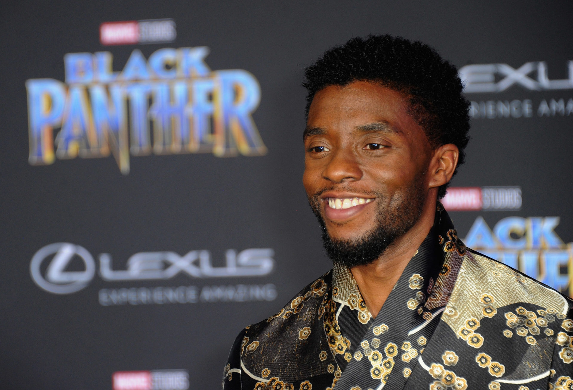 Premiere Of Disney And Marvel's "Black Panther" - Arrivals