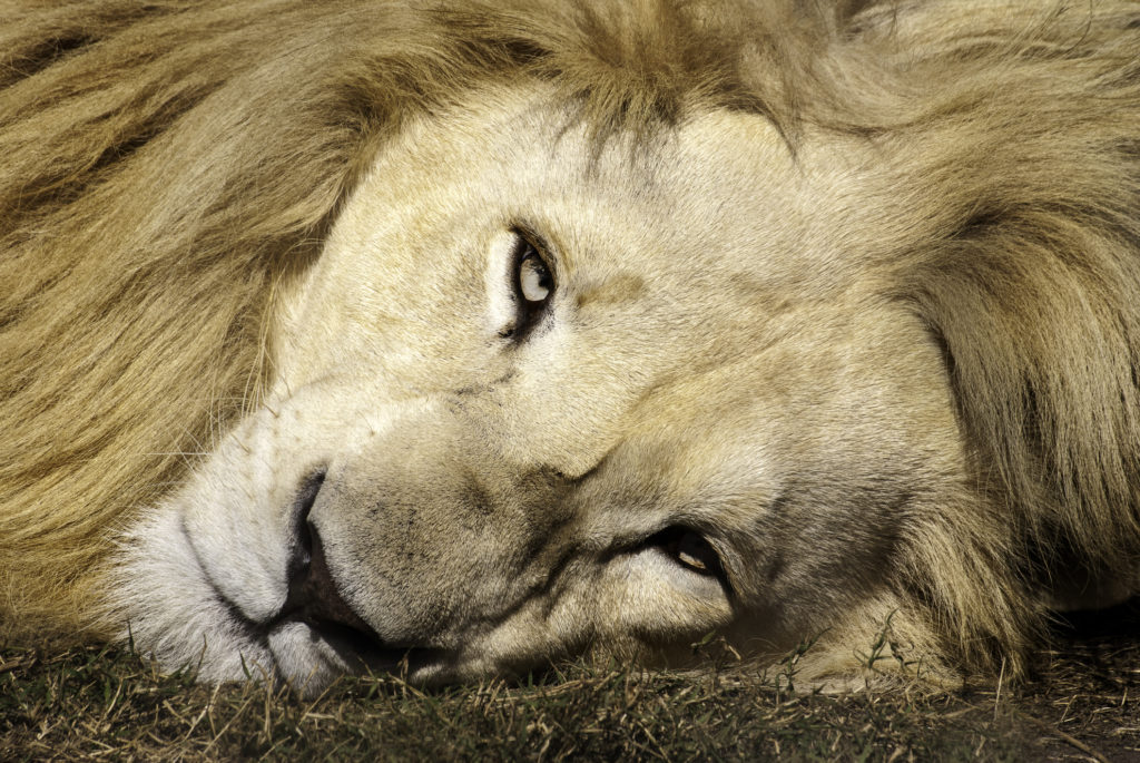 ‘Lightskin stare’ meaning explained as meme floods TikTok with Rizz