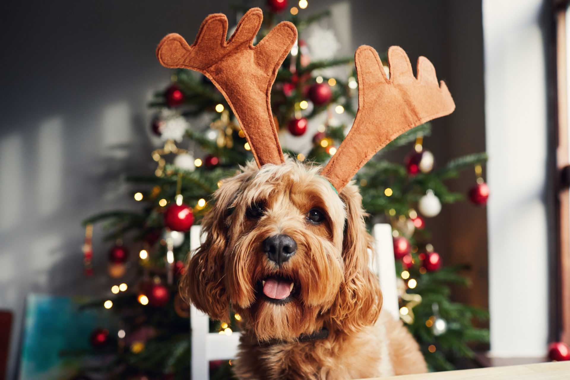 christmas-observed-meaning-explained-amid-calendrical-confusion