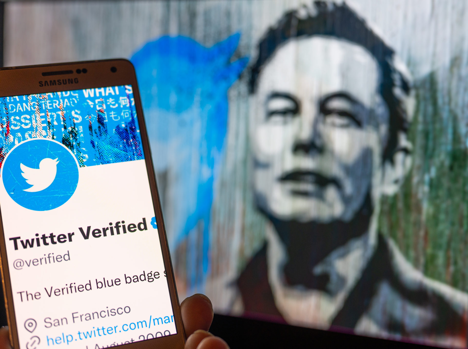 Who is Leonidas Raisini? Twitter 'angel investor' fires shots at Elon Musk