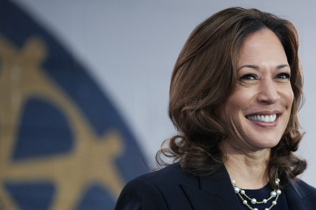 Kamala Harris’ hairstyle is achievable at home ‘for just $81.82 ...